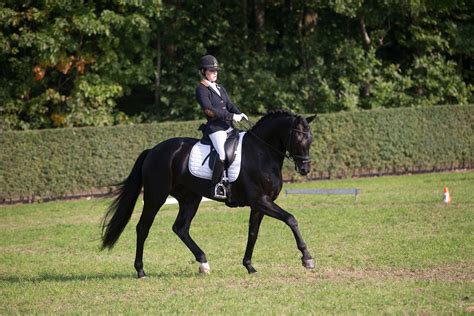 lv grade paard uitslagen|lrv dressuur.